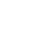 Logo ViSI