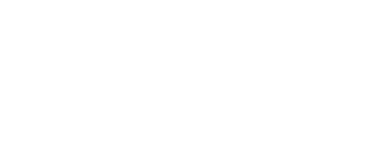 ViSI — Visioner Sinergi Indonesia